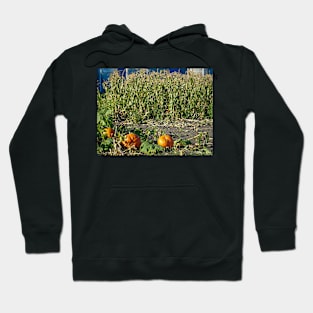 Autumn Harvest Hoodie